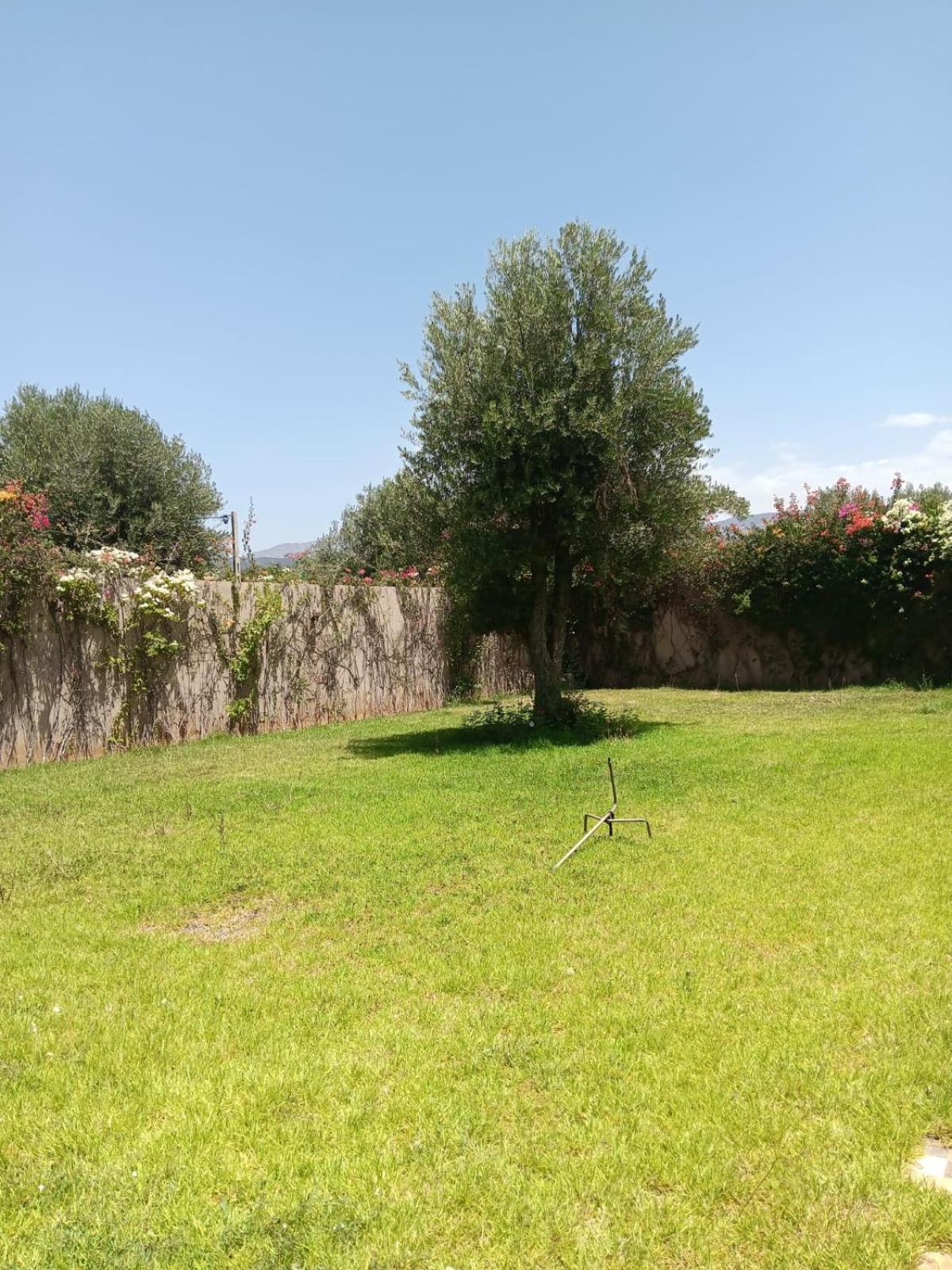 Villa Jamel Marrakech Zac Marrakesh Exteriör bild